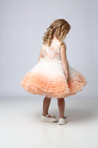 "BUTTERFLY" DRESS IN PEACH COLOR